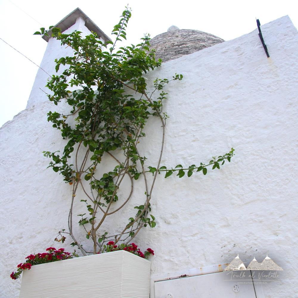 Trullo Al Vicoletto Al Civico 10, Civico 8, Civico 7 Villa Alberobello Exterior foto