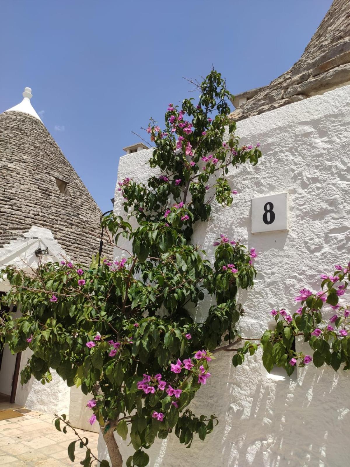 Trullo Al Vicoletto Al Civico 10, Civico 8, Civico 7 Villa Alberobello Exterior foto